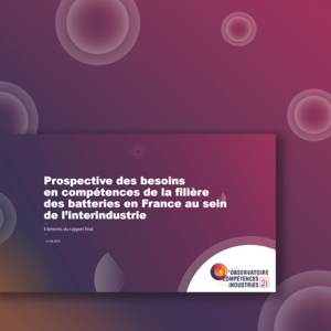 Représentation visuelle de la publication de l’Observatoire des compétences